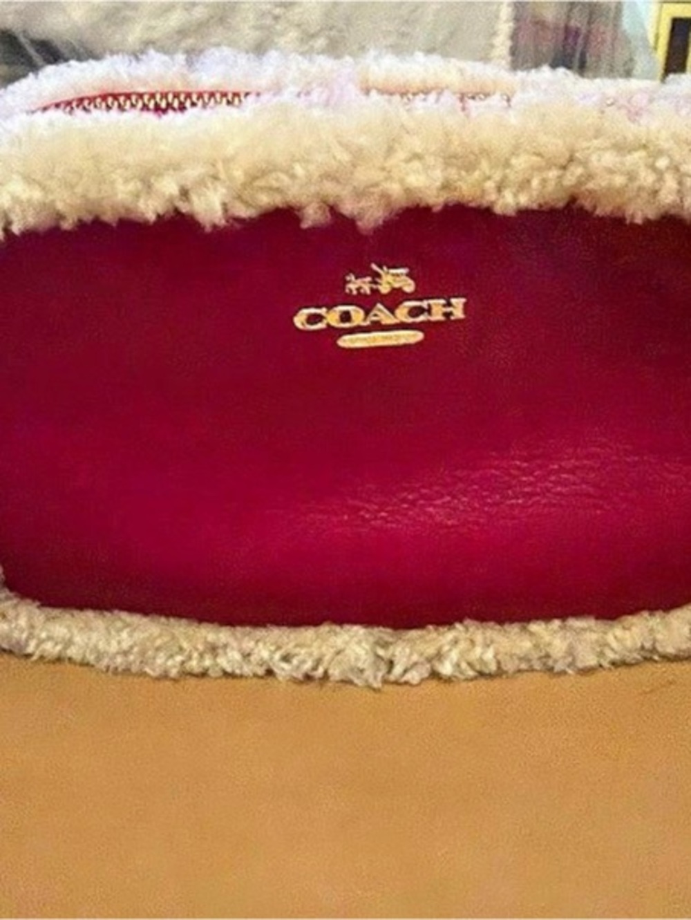 Coach Lam Shearling Trim Crossbody in Pink